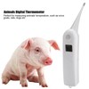 Fast Clinical Digital Thermometer Pet Animals Dogs Cats Birds Livestock