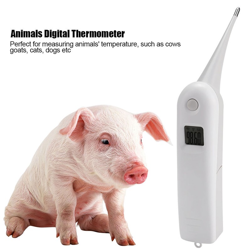 Fast Clinical Digital Thermometer Pet Animals Dogs Cats Birds Livestock