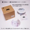 COFIL Fuji Four Seasons Ceramic Filter with Server and Saucer,