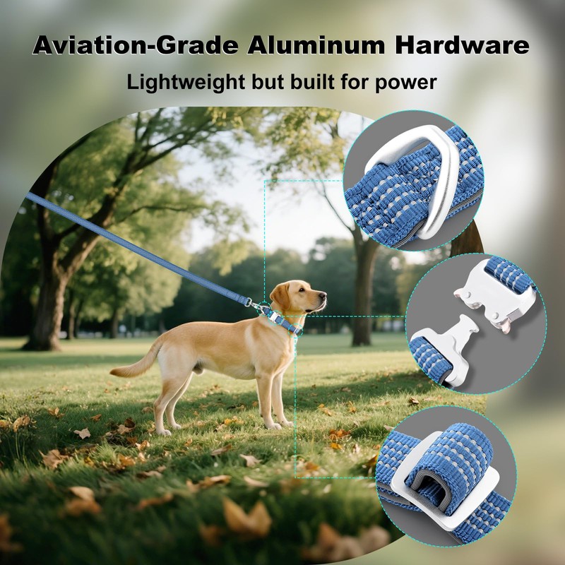 Plutus Pet Reflective Dog Collar with Aviation Aluminum Buckle, Neoprene