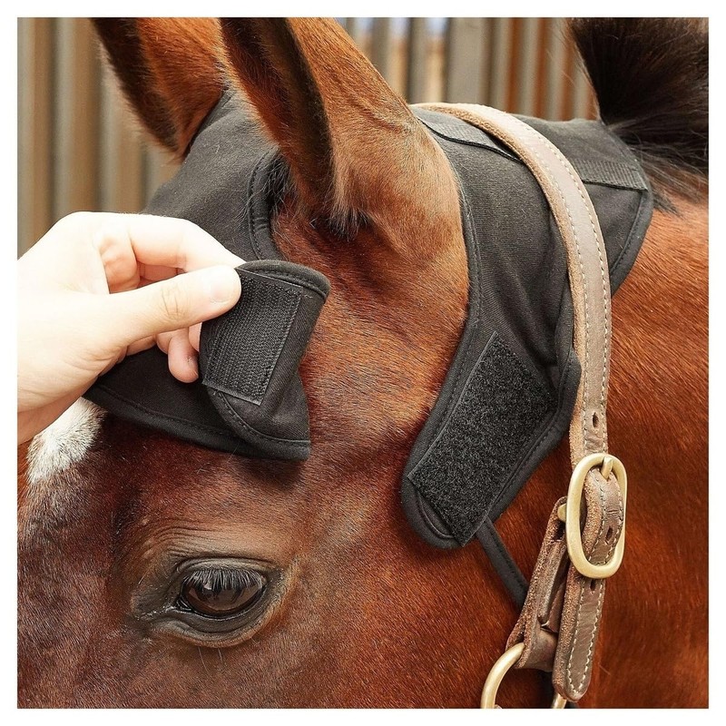 Back on Track Men's Utility, Black, S