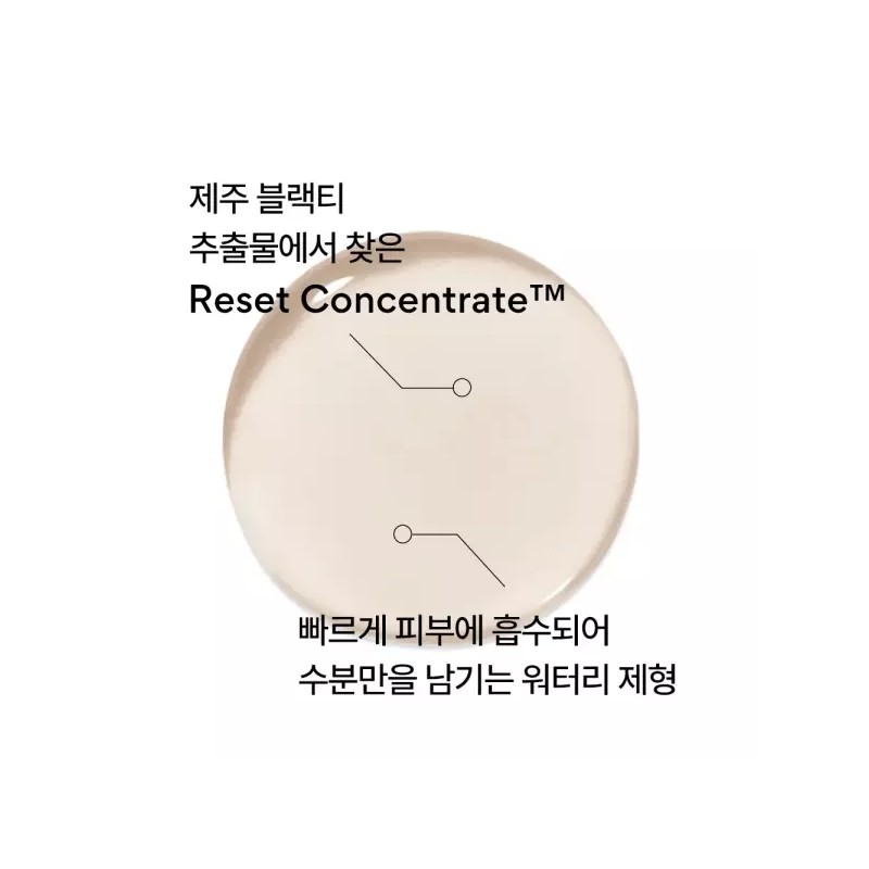Innisfree 블랙티 유스 인핸싱 스킨 170mL Black Tea Youth Enhancing