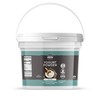 Birch & Meadow 1 Gallon of Yogurt Powder, Nutritious, From