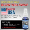 Scent Bomb Air Freshener Spray 4 Pack 1 Fl Oz