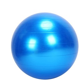 Large Fitness Exercise Ball Yoga Balance Ball, 75cm Anti-burst Extra Thick Back Waist Training Ball, Sturdy Non-slip PVC Yoga Balance Ball with Quick Air Pump for Home Gym Blue