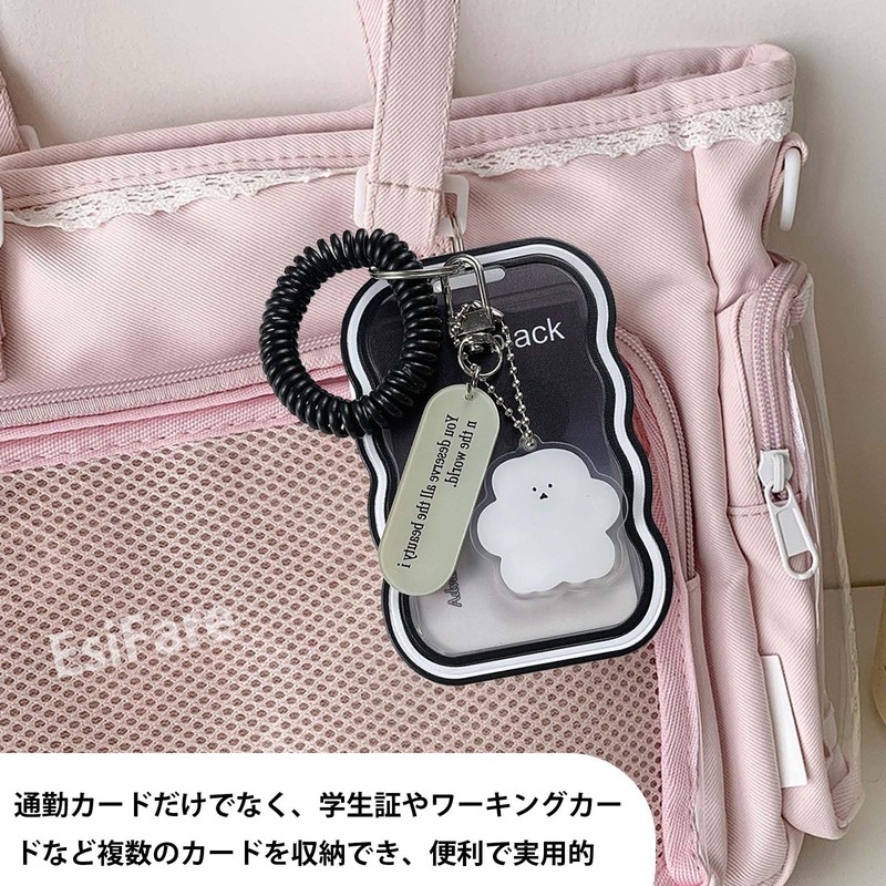 EsiFare Card Holder, Double-Sided Clear Transparent Pass Case, 2-Piece Set,