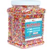 Dye-Free Rainbow Sprinkles – 2.2 LB - Natural Vegan Baking