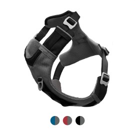 Kurgo Journey and Journey Air Dog Harness for Active Dogs, Padded Harness for Small, Medium, Large Dogs, Reflective Material, Anti-Pull D-Ring on Chest and Back