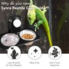 Synra Crested Gecko Dual Feeding Ledge, Space Saving, Maximizes Floor