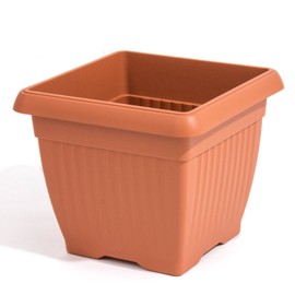 Prosper Plast DKWT19-R624 19 x 19 x 16 cm Terra Flowerpot - Terracotta (12-Piece)