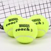 Teloon Tennis Balls (Regular color-12pcs)