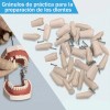 Paquete Dientes Compatibles Nissin Tipodonto