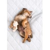 PharMeDoc Washable Bed Pad for Incontinence, Leak Proof & Slip