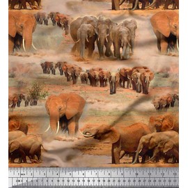 Soimoi Cotton Poplin Fabric tree & elephant Animal Printed Fabric 1 metre 56 Inch Wide