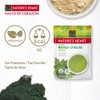 Nature´s Heart Organic moringa + spirulina powder 100g