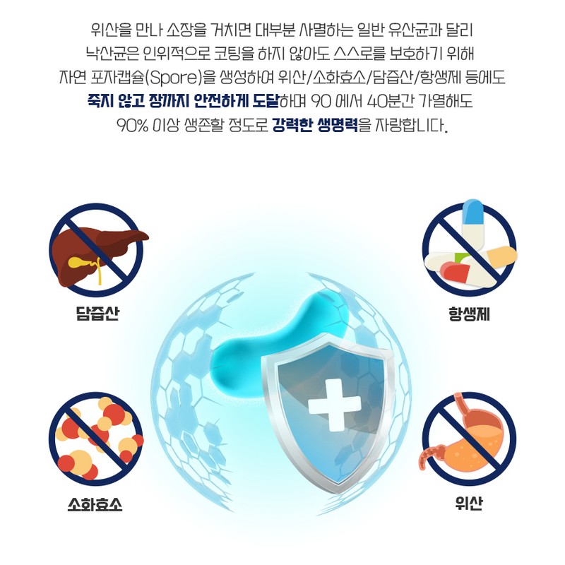 biopharmaceutical Premium Miyairi Lactobacillus Probiotics Intestinal Health Colon Lactobacillus 30