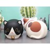 FUYU Cute Cartoon Cat Piggy Bank Saving Bank, Coin Bank,