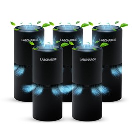LabCharge Small Ionic Air Purifier for Home & Bedroom – Silent HEPA Filter – Covers 250 Sq Ft - Free Cleaner for Pets, Hair, Smoke, Dust, Odors & Dander – Compact & Black Design - Pack of 5