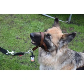 Headcollar Dog Halter/Training Head Collar Training Tool Dog, Head Harness to Stop Pulling on the Lead, Easy to Use, Padded Nose Band, Adjustable (2, Brown)