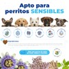 Waggys Relax, Relajante Natural para Estrés y Ansiedad en Perros,