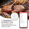 Inkbird Barbeque Meat Thermometer Digital Bluetooth Smoker Wireless Grill Thermometer