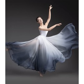 Z&X Modern Ballet Lyrical Dance Skirt Gradient Color Sheer Long Flowy Skirts for Ballerinas Photography Performance Black White 12 Black White One Size