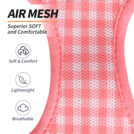 AIITLE Easy Walk Dog Harness, Harness and Leash, Pet Accessories, No Pull, Summer, Breathable Mesh, Reflective Strips, Adjustable, Escape Proof, for Medium Dogs