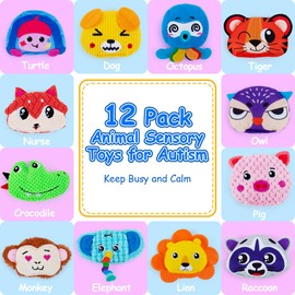 teytoy Sensory Bean Bag for Kids 12 Pack,Texture Sensory Beanbags,Sensory Toys for Autism,Cute Animal Beanbags,Sensory Toys for Toddlers Kids Learning,Sensory Play Fine Motor Anxiety Relief