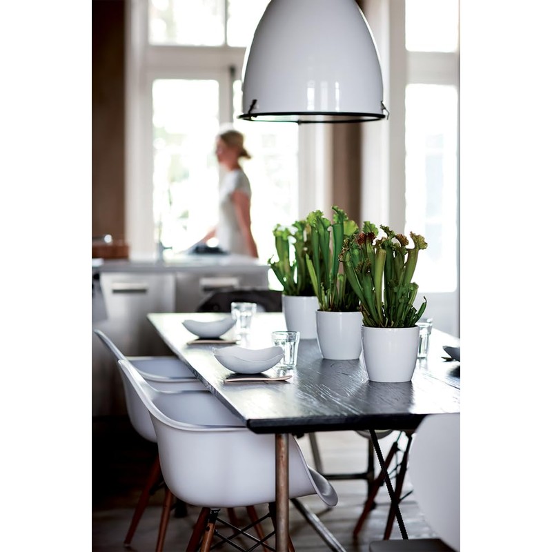 elho Brussels Diamond Round 16 - Flower Pot Indoor -