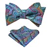 Alizeal Men's Retro Paisley Self-Tie Bow Tie and Handkerchief Set