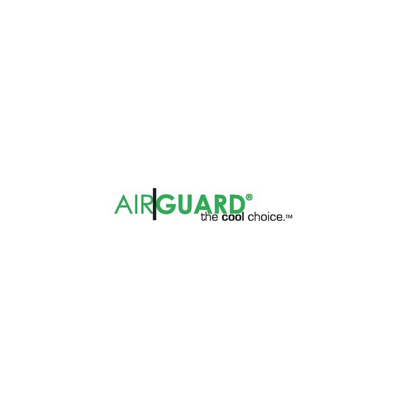 Air Guard Flush Mount 10 x 5