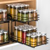 RCHYFEED Spice Rack, 2 Tier Pull out Cabinet Spice Organizer,