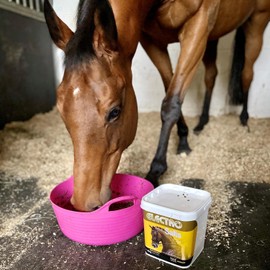 NAF Electro Salts 1kg – Fast-Acting Equine Electrolyte Supplement to Replenish Salts Lost in Sweat, Support Hydration, Recovery & Peak Performance
