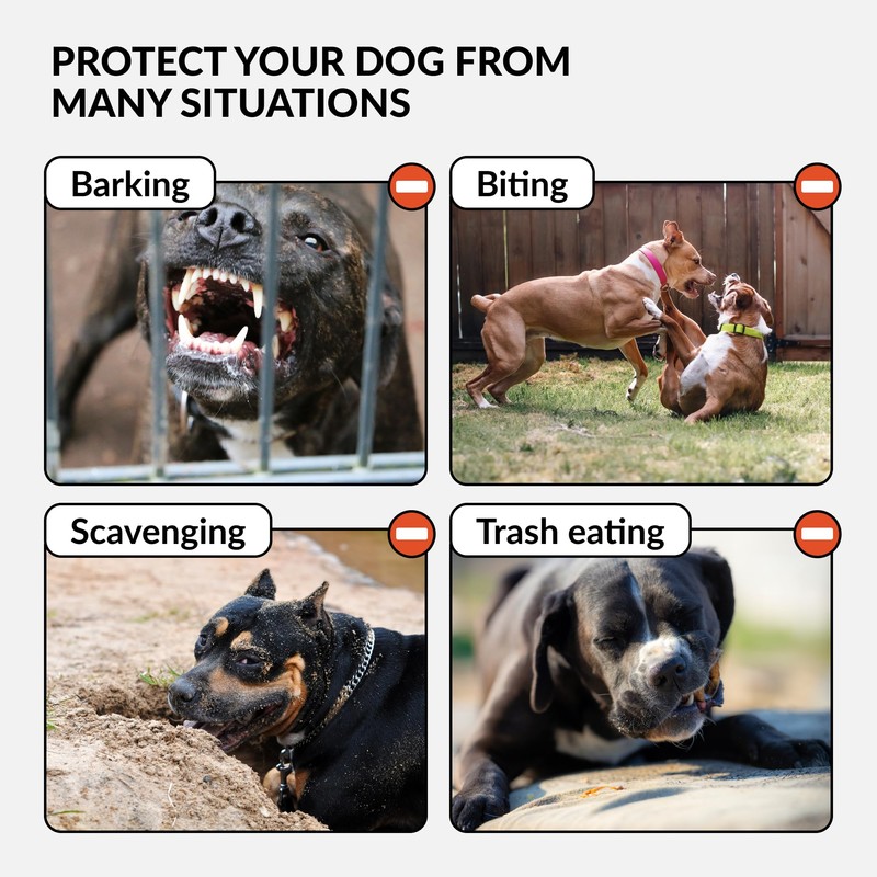 CollarDirect Leather Basket Dog Muzzle for German Shepherd Staffordshire Terrier