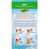 Twinings 2 Pack - Twinings Green Tea with Mint Cold