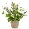 Ainuowei 12.8'' Artificial Olive Branches with Grenn Eucalyptus Faux Plant