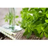 Waldmeister easyWater Drink Powder, Sugar-Free Flavour Powder for Refreshing Drinks,