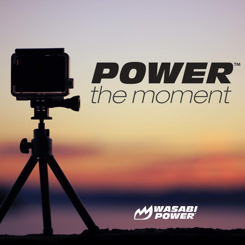Wasabi Power Battery (2-Pack) and Dual Charger for GoPro Hero3,