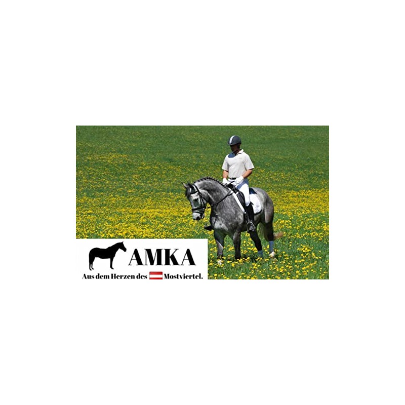 Bit, Stainless Steel