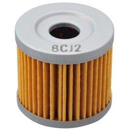 Daytona 98744 Replacement Oil Filter for Motorcycles, Serial Number F-19