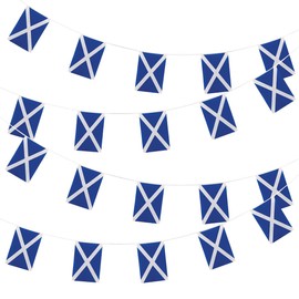 Scotland Bunting 10 Metres -20 Flags 31x20cm/10m
