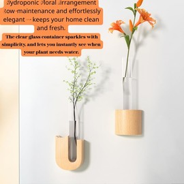 MIXNEX Magnetic Glass Test Tube Vase with Beechwood Base – Fridge Flower Holder for Wall or Metal Surface Decoration – Whale, Puppy, Cat, and Half-Circle Shape (Cat)