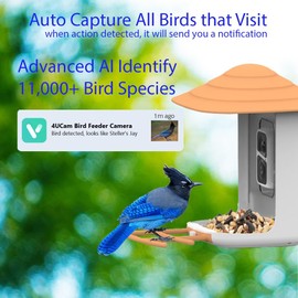 4UCam Smart Bird Feeder with Camera Solar Panel Powered, 1080HD Auto Capture Bird Videos & Instant Notifications, AI Intelligent Recognition Birds Spieces-Wireless Camera, with two-way Auto Capture 32