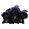 Nemesis Now Familiar Felines Black Cats in Witches Hats Figurine,