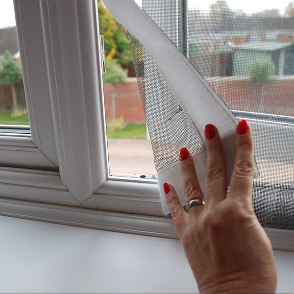 Flat Cats Window protection for Cats Standard Triple Pack (60cm