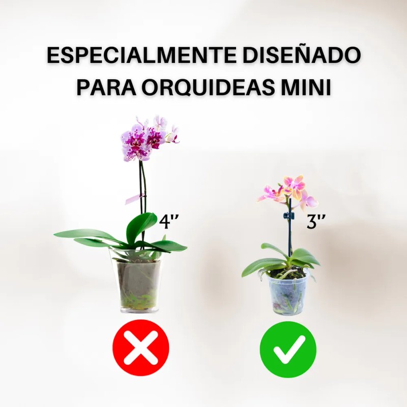Maceta De Cerámica Esmalte Negro Para Orquídeas Pequeñas Calada Redonda