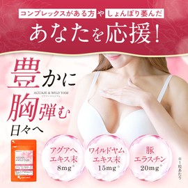 オーガランド (ogaland) AGUAJE ＆ WILD YAM (90粒 / 約3ヶ月分) サプリ アグアヘ ワイルドヤム エラスチン ザクロ種子エキス末