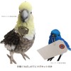 Birdie Bill Realistic Bird Hard Type Toy Doll Figure (Cockatiel)