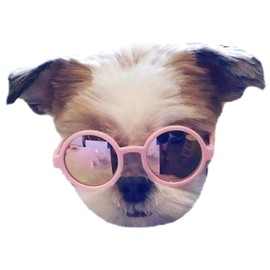G016 Dog Pet Round Sunglasses Goggles for Small Dogs up to 15lbs (Pink-Pink Mirror)