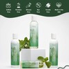EDEN BodyWorks Peppermint Tea Tree Conditioner | 8 oz |